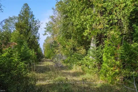 97 DEVILS GLEN Rd, Northern Bruce Peninsula, ON N0H 2T0