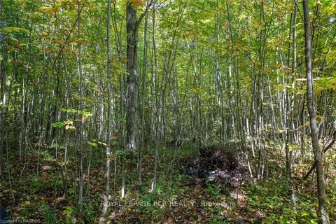 PT LT 2 HINDMAN Sdrd, Georgian Bluffs, ON N0H 2K0