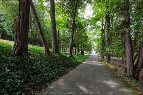 403288 GREY ROAD 4 Road, ON N0G 1R0