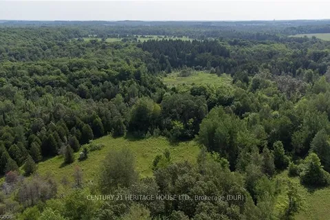 PT LOT  CONCESSION 4 SDR, West Grey, ON N0C 1K0