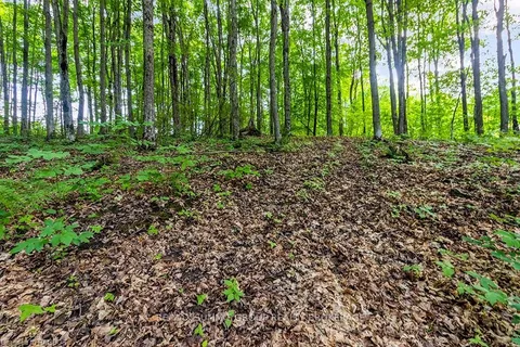 PT LT 6 BASELINE Road, ON N0C 1H0