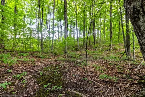 PT LT 6 BASELINE Road, ON N0C 1H0