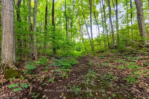 PT LT 6 BASELINE Road, ON N0C 1H0