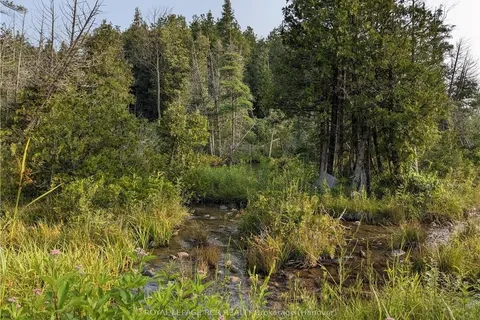 59 3RD N/A, West Grey, ON N0G 1R0