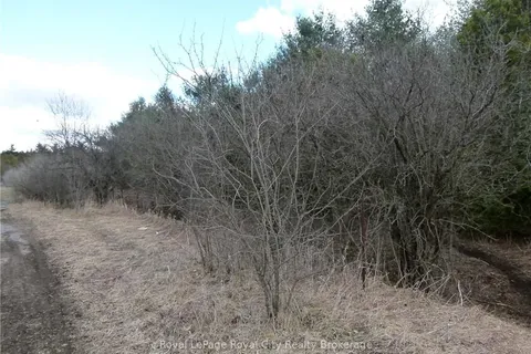 8256 HIGHWAY 7 N/A, ON N0B 2K0