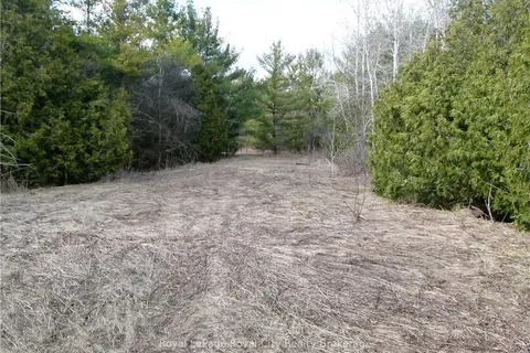 8256 HIGHWAY 7 N/A, ON N0B 2K0