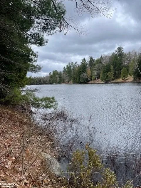 27 LAKE RIDGE Rd, McDougall, ON P2A 2W9