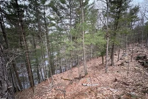 27 LAKE RIDGE Rd, McDougall, ON P2A 2W9