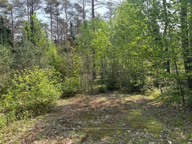 147 SO HO MISH Road, Perry, ON P0A 1L0