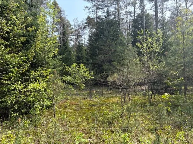 147 SO HO MISH Road, Perry, ON P0A 1L0