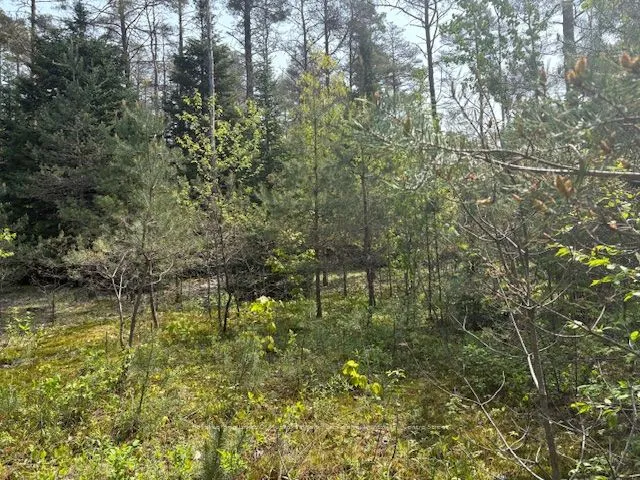 147 SO HO MISH Road, Perry, ON P0A 1L0