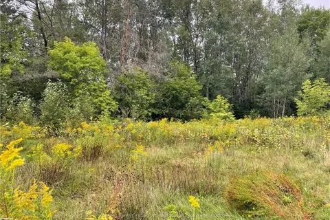 Lots 78-81 & 93-95 EMPIRE Street, ON P0A 1M0