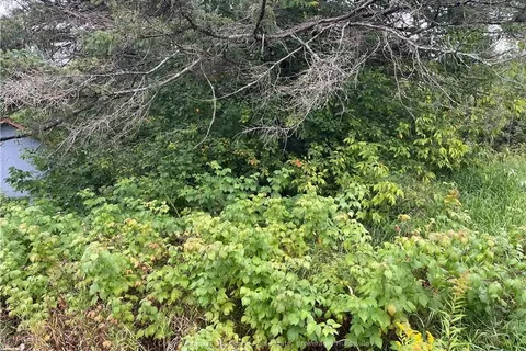 Lots 78-81 & 93-95 EMPIRE Street, ON P0A 1M0