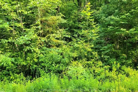 26 MOUNT VERNON Trail, ON P1H 1E3