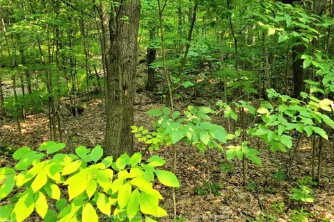 26 MOUNT VERNON Trail, ON P1H 1E3