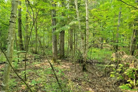 29 MOUNT VERNON Trail, ON P1H 1E3