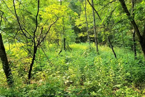 35 MOUNT VERNON Trail, ON P1H 1E3