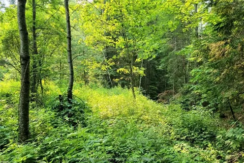 35 MOUNT VERNON Trail, ON P1H 1E3