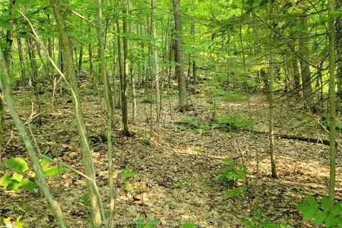 32 MOUNT VERNON Trail, ON P1H 1E3