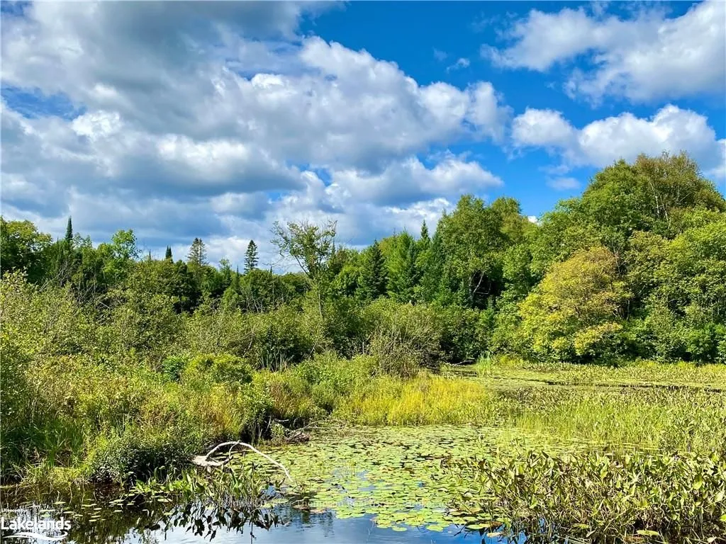 151 MAPLE Drive, ON P0H 1S0