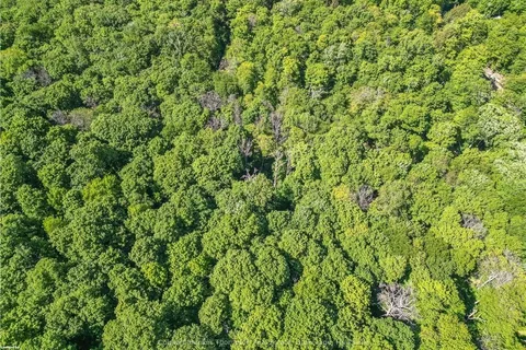 18 MAPLE LEAF Dr, Huntsville, ON P1H 2J2