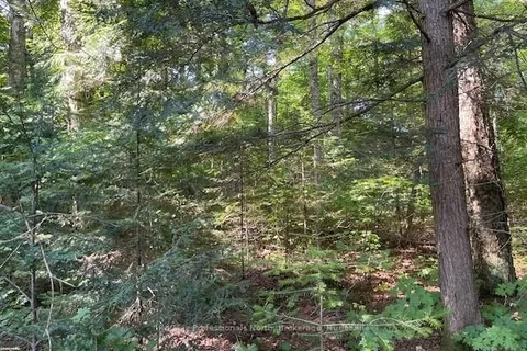 1448-2 WEST OXBOW LAKE Road, Lake of Bays, ON P1H 2J6