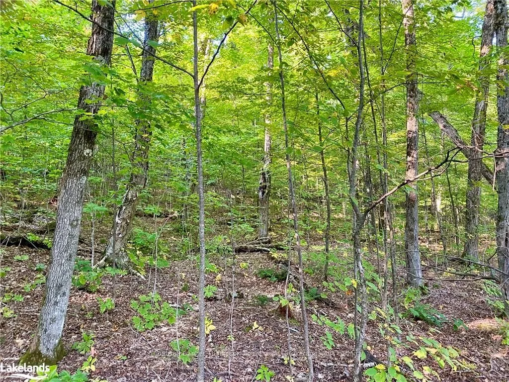 842 SEAGULL LAKE Road, ON P0H 1S0