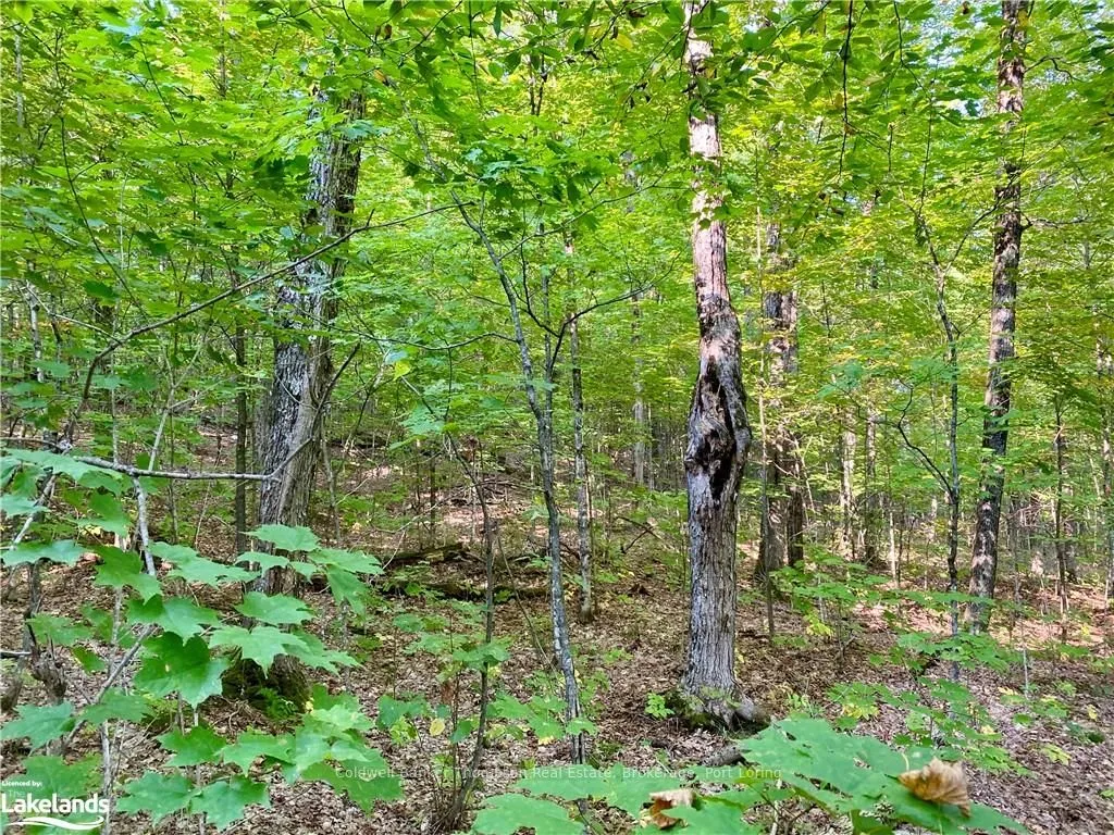 842 SEAGULL LAKE Road, ON P0H 1S0