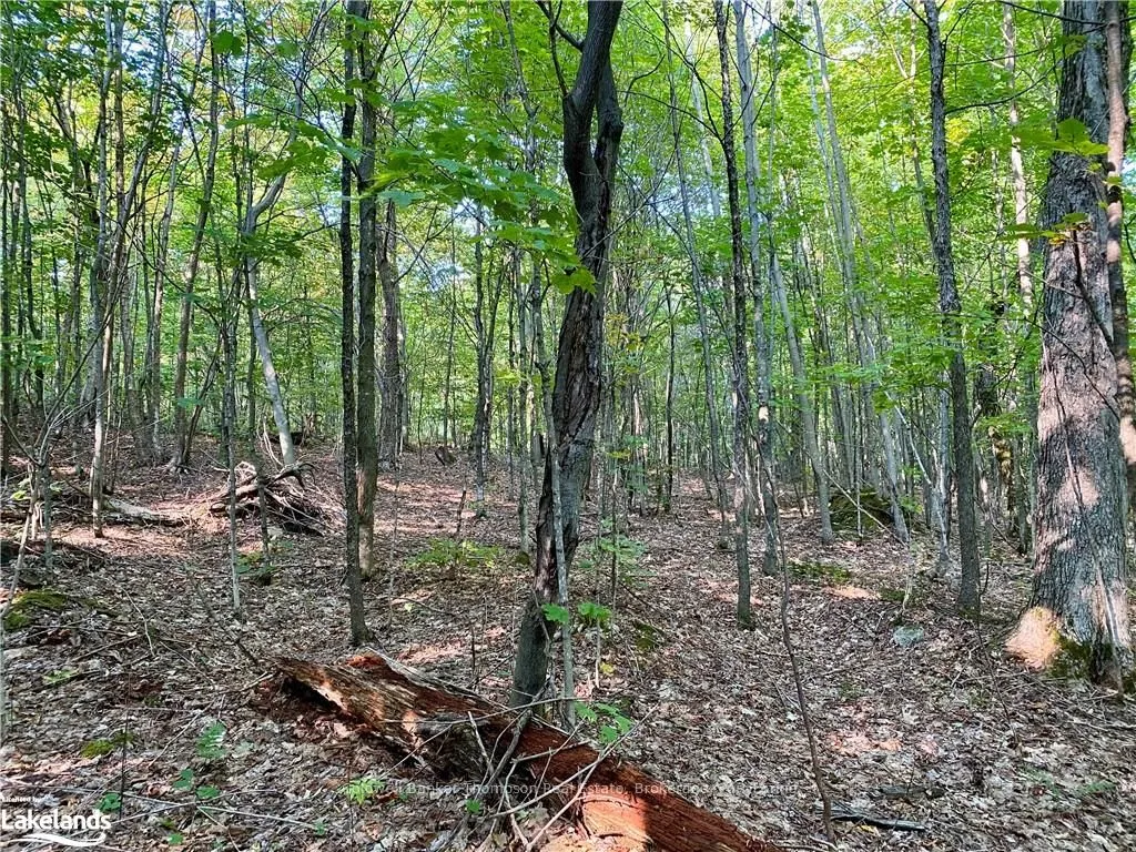 842 SEAGULL LAKE Road, ON P0H 1S0