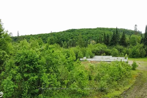 931 SPRING HILL Road, Ryerson, ON P0A 1C0