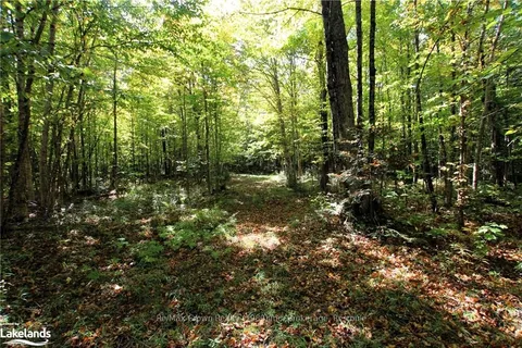 281 LOVERS LANE, Parry Sound Remote Area, ON P0H 1S0