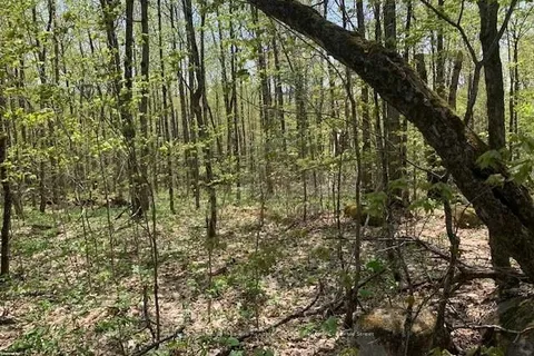 2376 SOUTH HORN LAKE Road, Ryerson, ON P0A 1L0