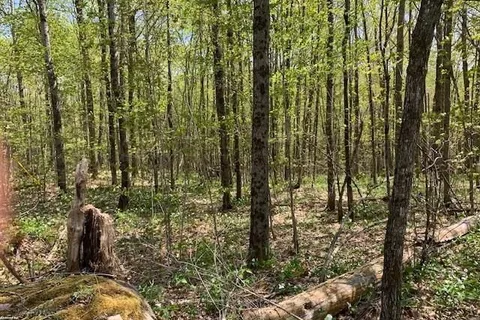 2376 SOUTH HORN LAKE Road, Ryerson, ON P0A 1L0