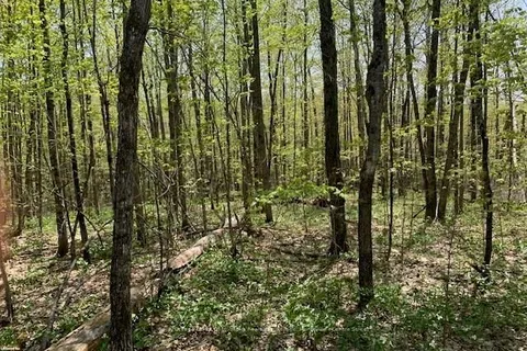 2376 SOUTH HORN LAKE Road, Ryerson, ON P0A 1L0