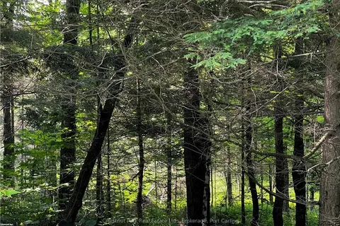 4655 ASPDIN Road, Muskoka Lakes, ON P0C 1J0