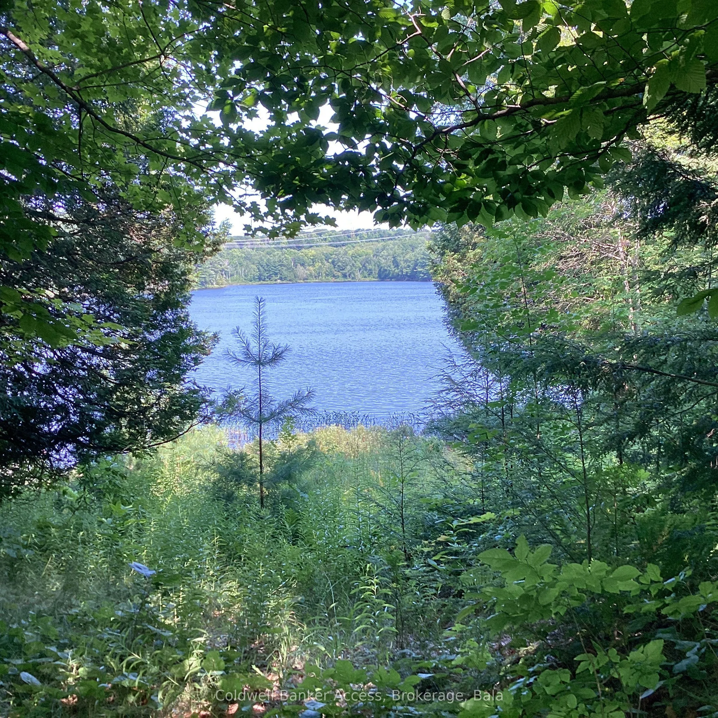 153 HIGHWAY 124 N/A, ON P2A 2W7