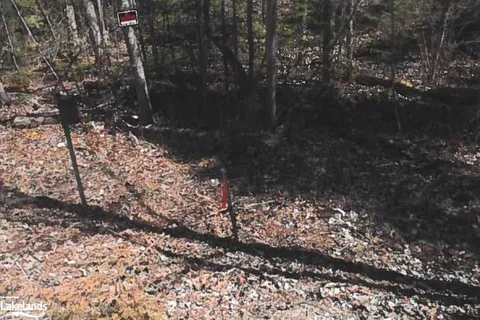 151 HIGH ROCK Drive, Strong, ON P0A 1Z0