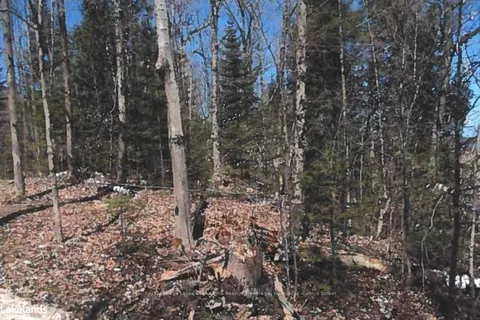 151 HIGH ROCK Drive, Strong, ON P0A 1Z0