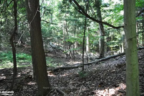 LOT 21 BAYSHORE Road, Meaford, ON N0H 1B0