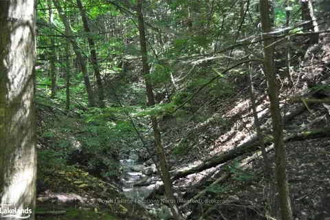 LOT 21 BAYSHORE Road, Meaford, ON N0H 1B0