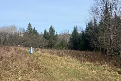 2828 FIRE ROUTE 72 Rte, North Kawartha, ON K0L 1J0