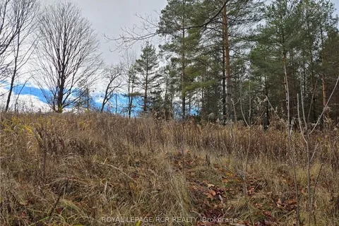 LT 8 WS HIGHWAY 6 N/A, ON N0H 2V0