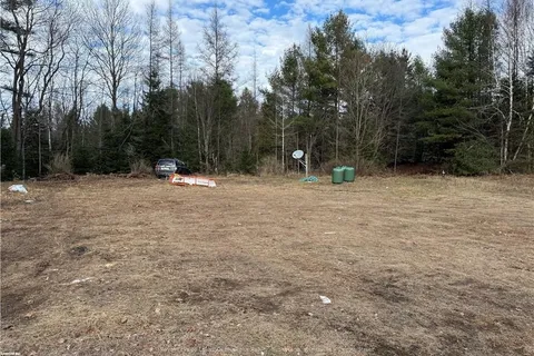 172 MINERAL SPRINGS Rd, Huntsville, ON P1H 2N5