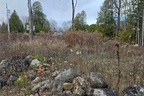 PTLT8ES SALTER Street, Chatsworth, ON N0H 2V0