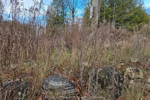 PTLT8ES SALTER Street, Chatsworth, ON N0H 2V0