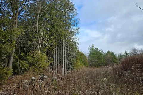 PTLT8ES SALTER Street, Chatsworth, ON N0H 2V0