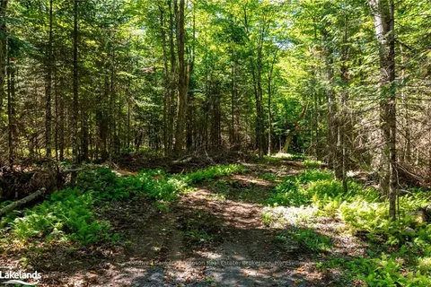 192 ELY SIDE Rd, Armour, ON P0A 1C0