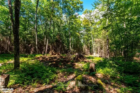 192 ELY SIDE Rd, Armour, ON P0A 1C0