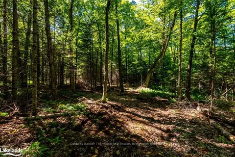 192 ELY SIDE Rd, Armour, ON P0A 1C0