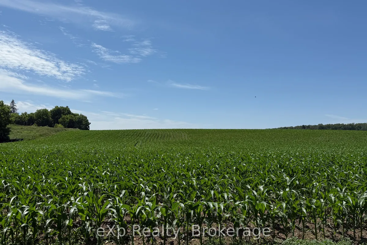 PT LT 24 CONCESSION A N/A, ON N0G 1J0